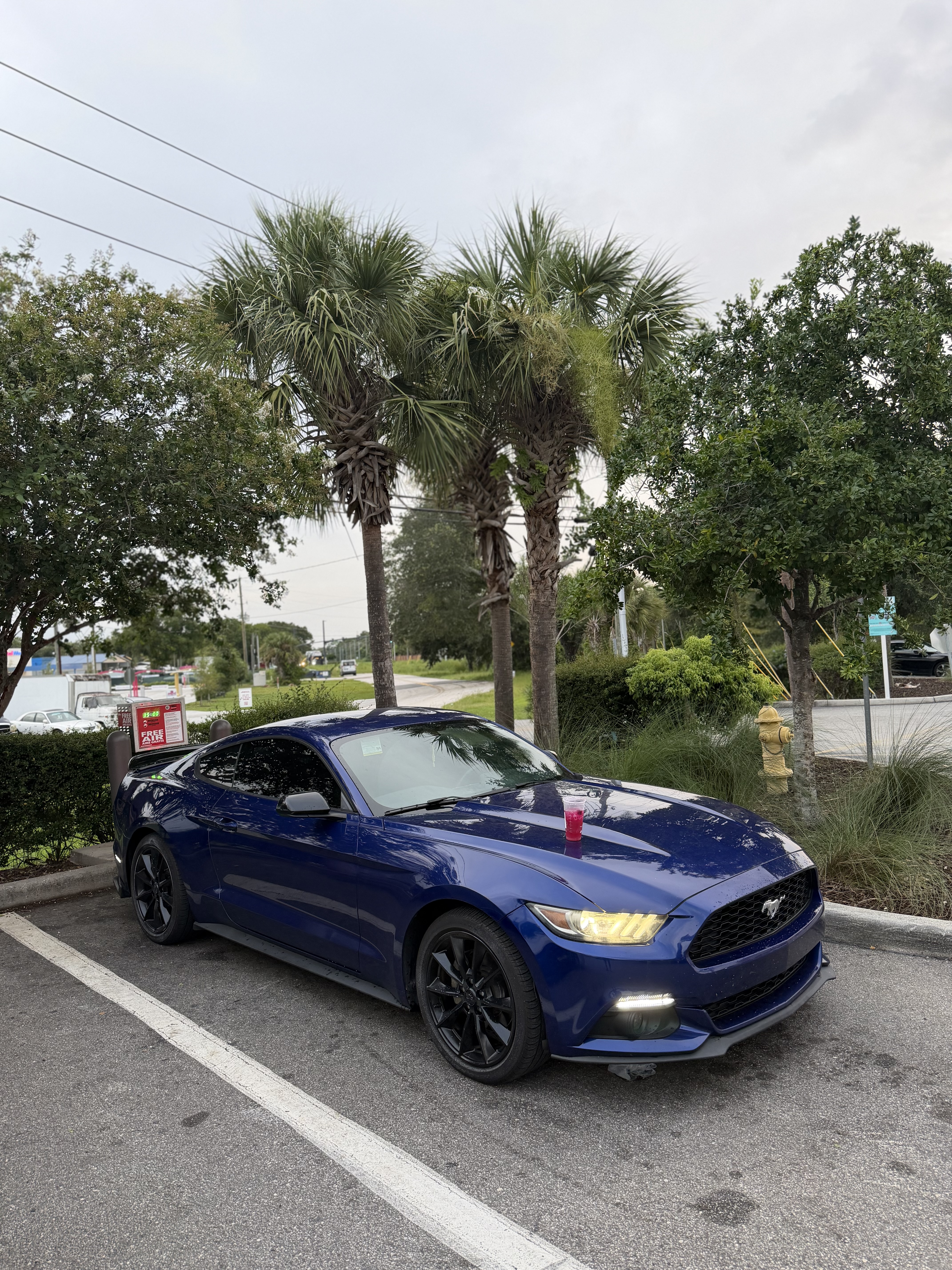Used 2016 Ford Mustang Coupe w/ Interior & Wheel Package RWD image 5