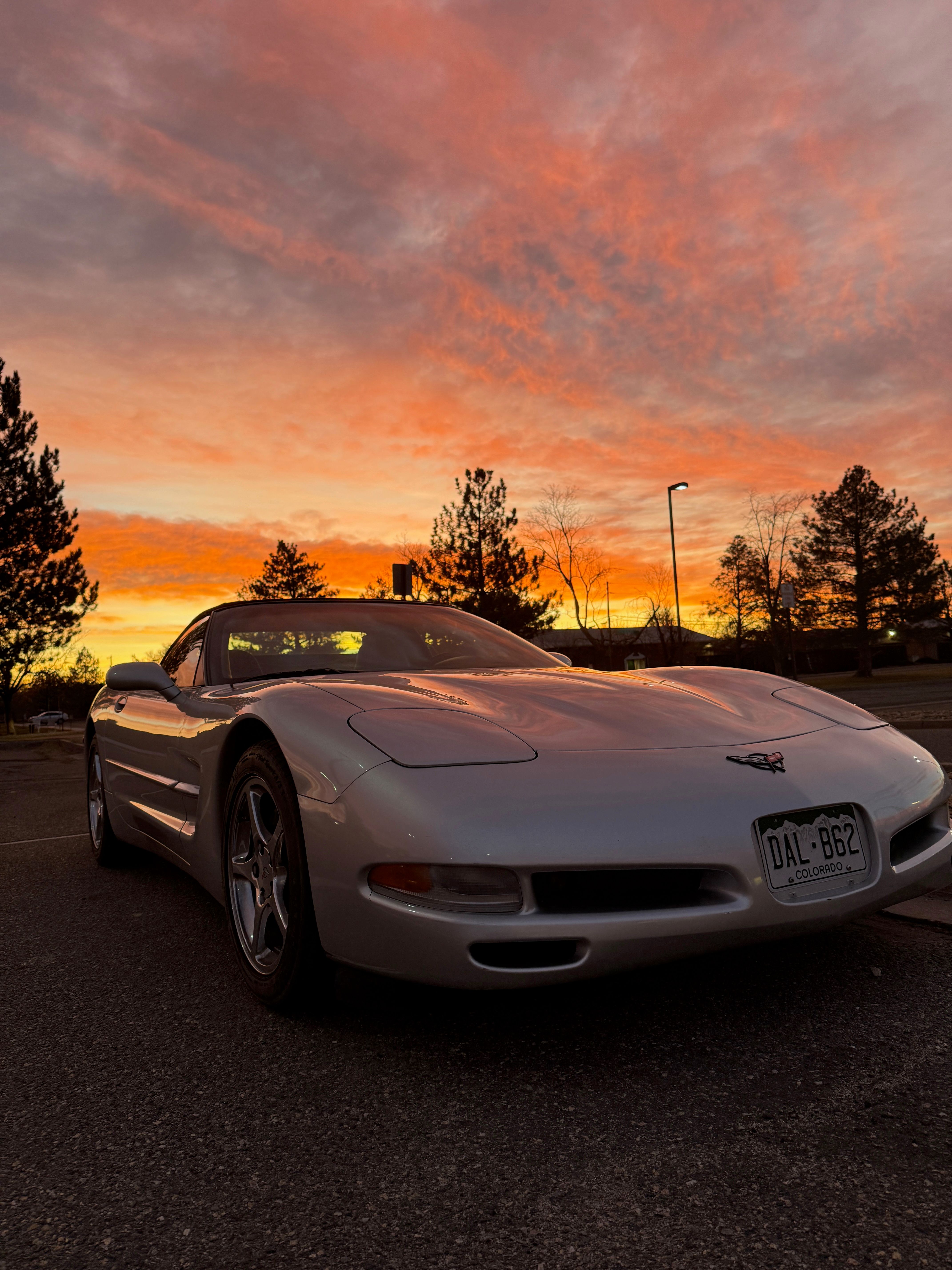 Used 2002 Chevrolet Corvette Convertible RWD image 8