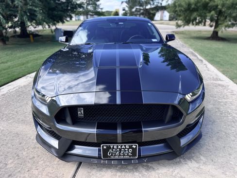 Used 2019 Ford Mustang Shelby GT350 w/ Technology Package RWD image 6