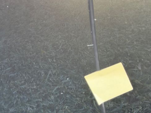 Used 2016 Toyota Prius Four Touring image 26