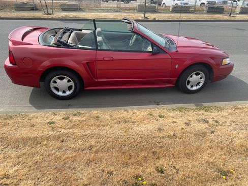 Used 2000 Ford Mustang Convertible RWD image 13