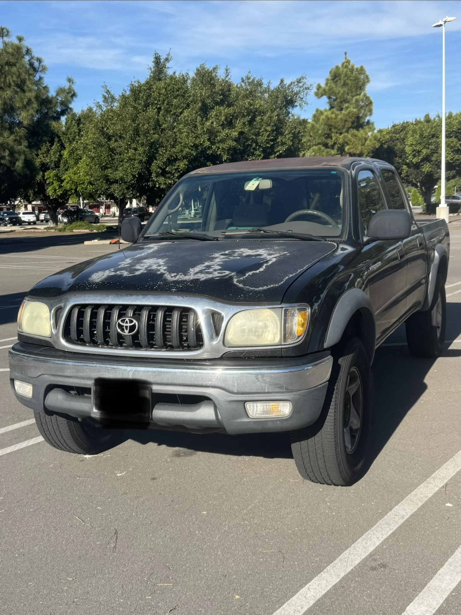 Used 2004 Toyota Tacoma PreRunner RWD image 2