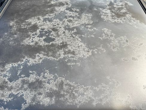 Used 2006 Toyota Tundra SR5 image 21