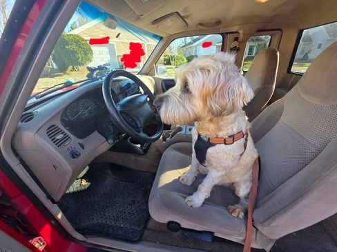 Used 2000 Ford Ranger 4x4 SuperCab image 18