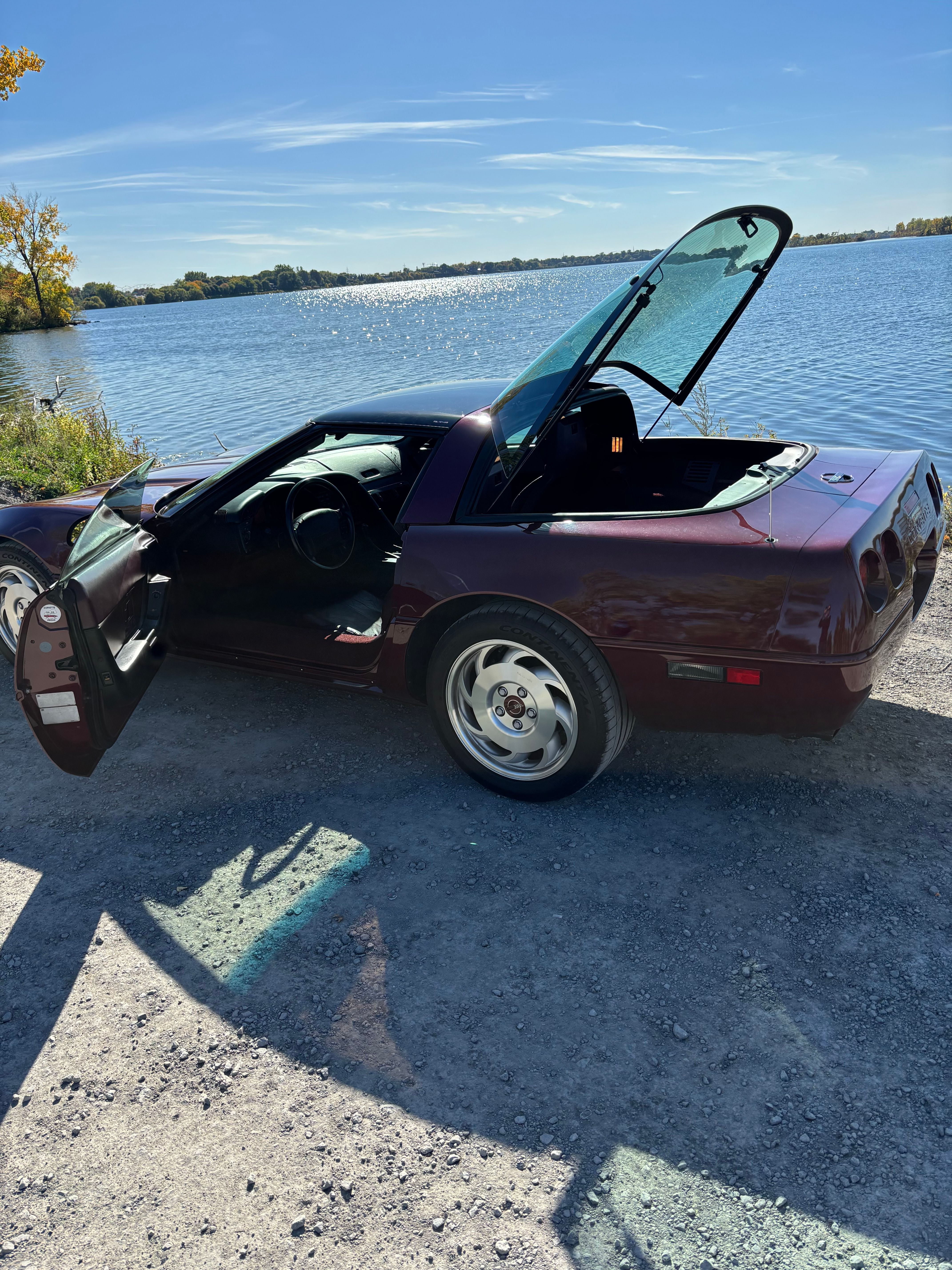 Used 1993 Chevrolet Corvette Coupe RWD image 8