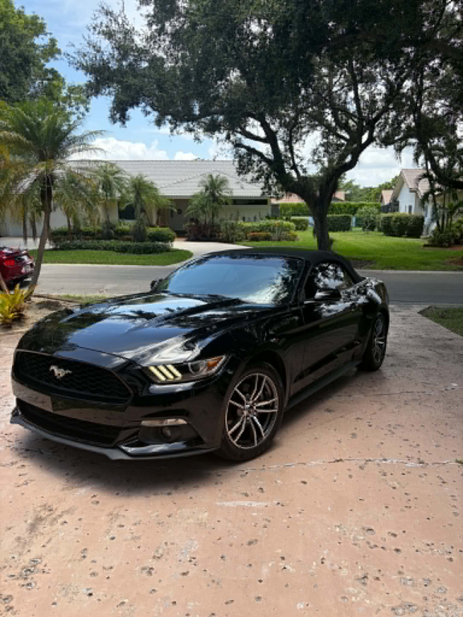 Used 2017 Ford Mustang Premium RWD image 11