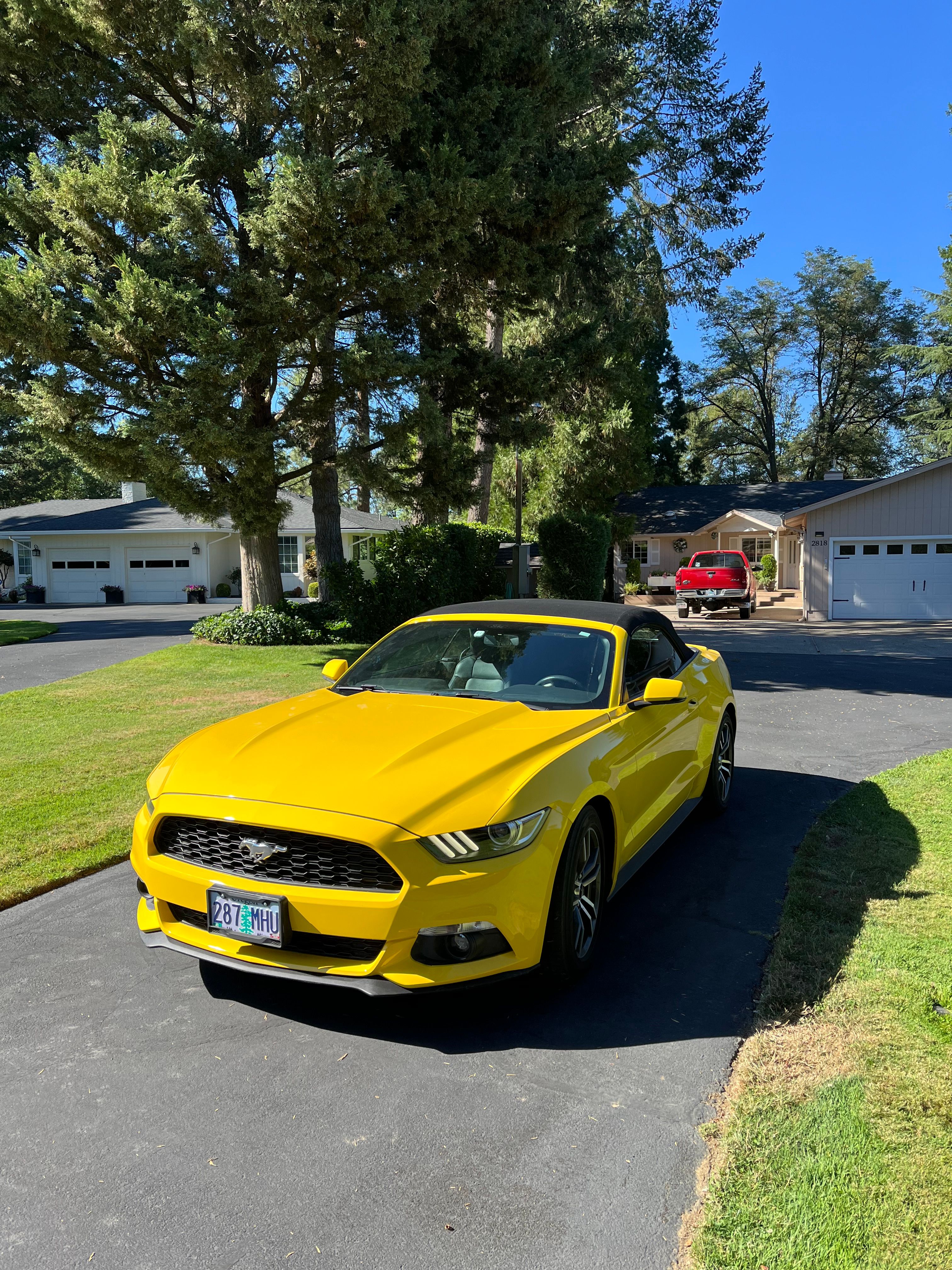 Used 2017 Ford Mustang Premium RWD image 8