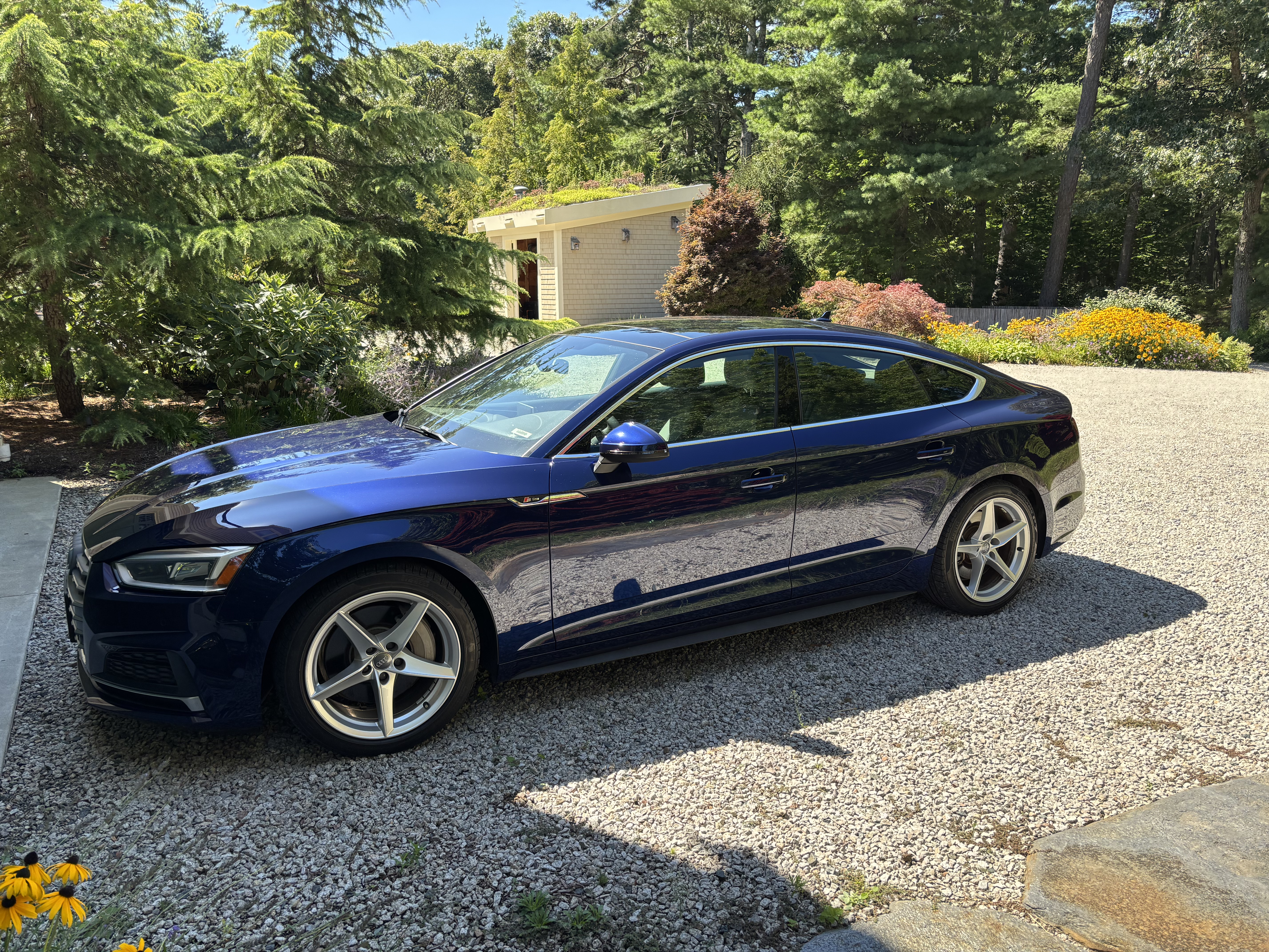 Used 2019 Audi A5 2.0T Premium Plus w/ Premium Plus AWD/4WD image 1
