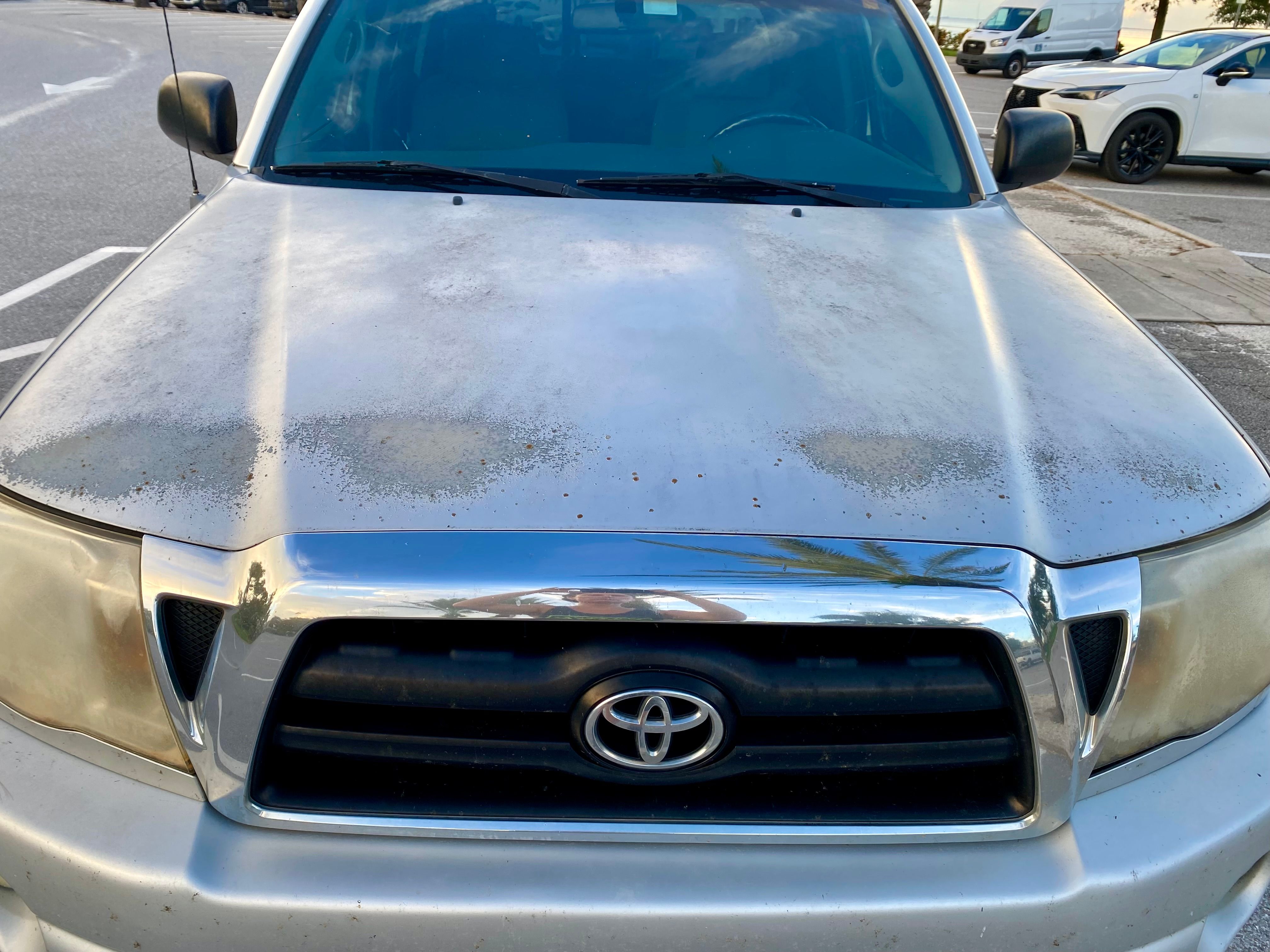 Used 2008 Toyota Tacoma PreRunner w/ TRD Off-Road Pkg #2 RWD image 12