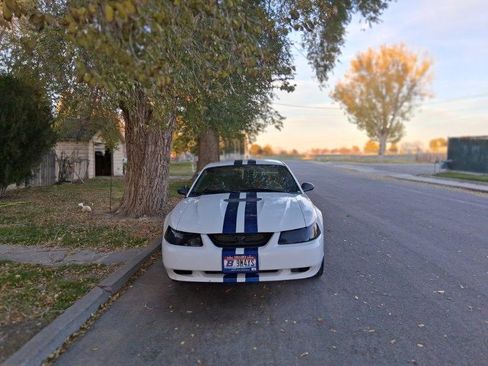 Used 2002 Ford Mustang Coupe image 6