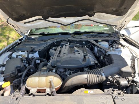 Used 2018 Ford Mustang Premium w/ Equipment Group 201A RWD image 11