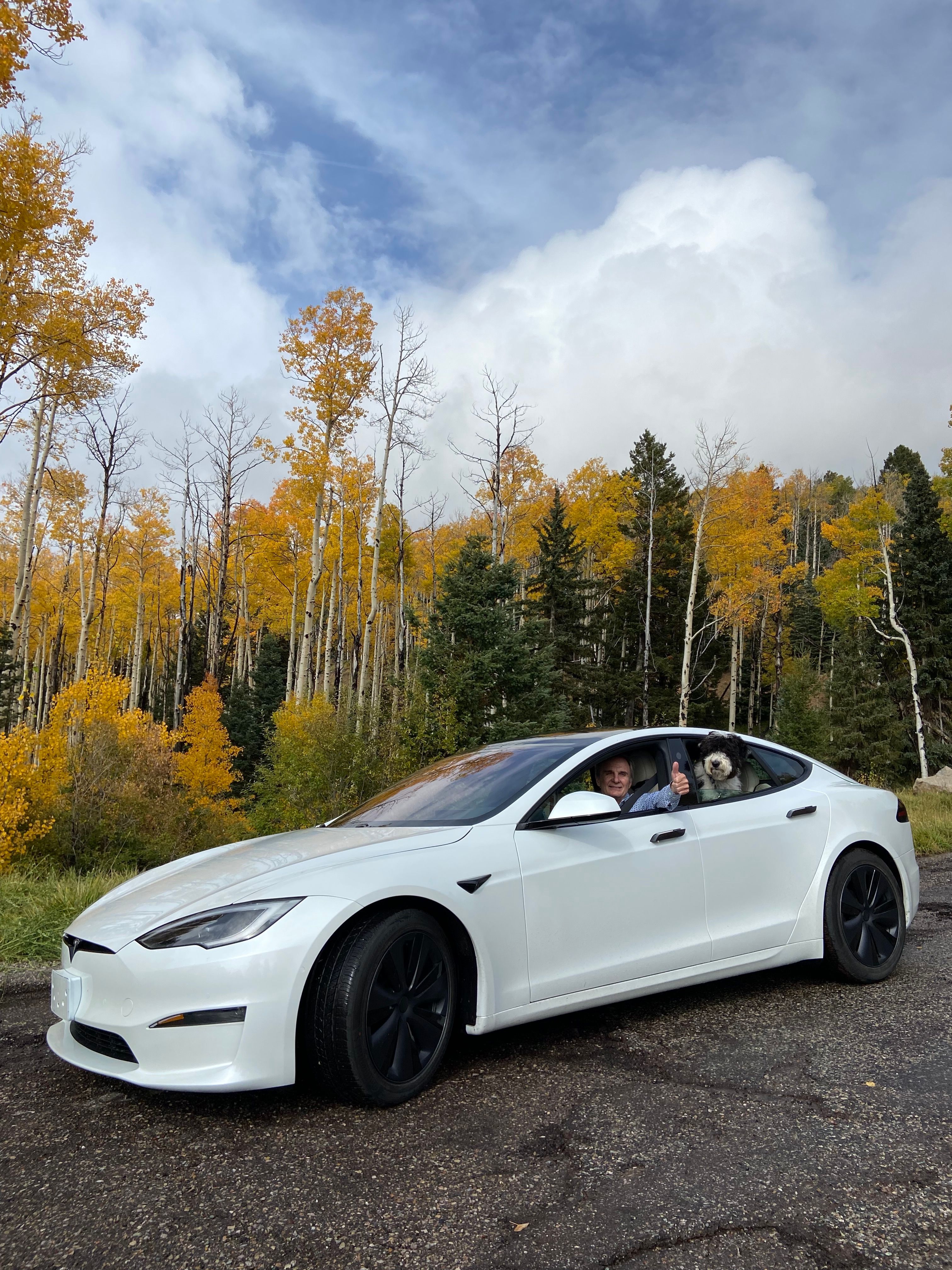 Used 2022 Tesla Model S Standard Range AWD/4WD image 2