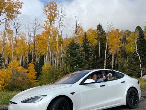 Used 2022 Tesla Model S Standard Range image 2