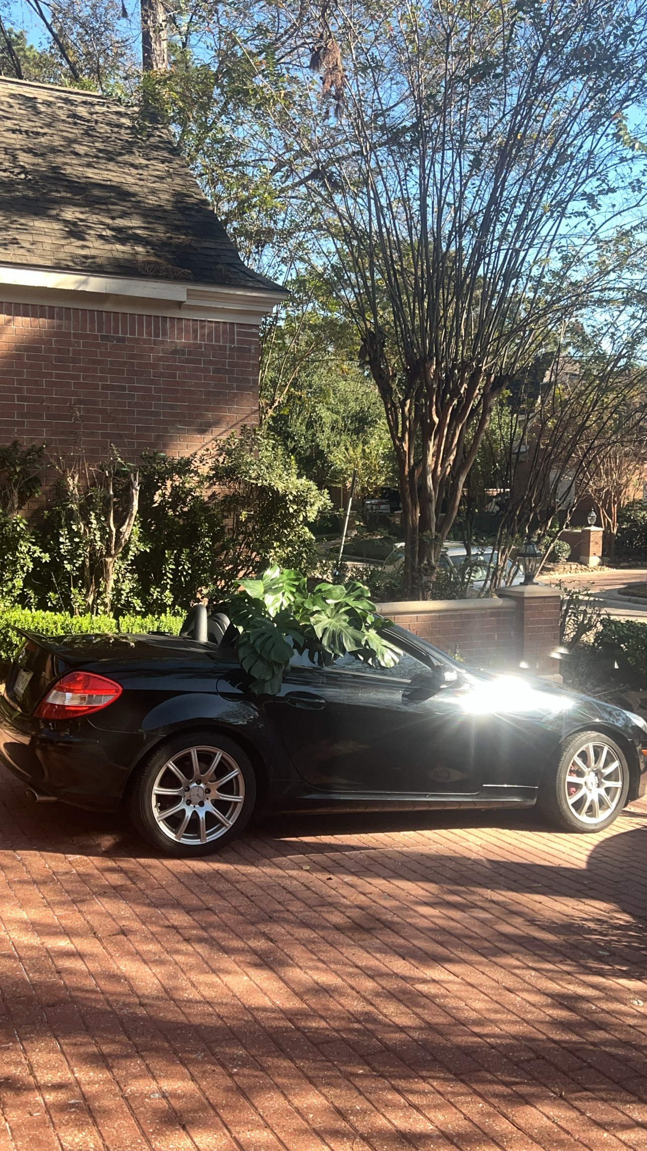 Used 2007 Mercedes-Benz SLK 350 image 2