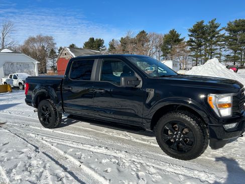 Used 2022 Ford F150 XL w/ STX Black Appearance Package image 1