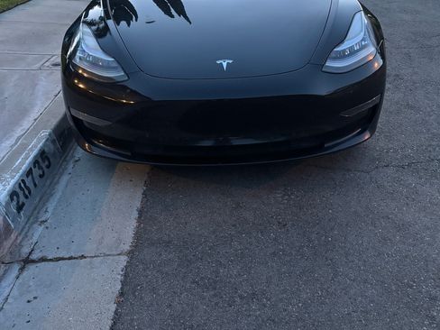 Used 2019 Tesla Model 3 Long Range AWD/4WD image 5