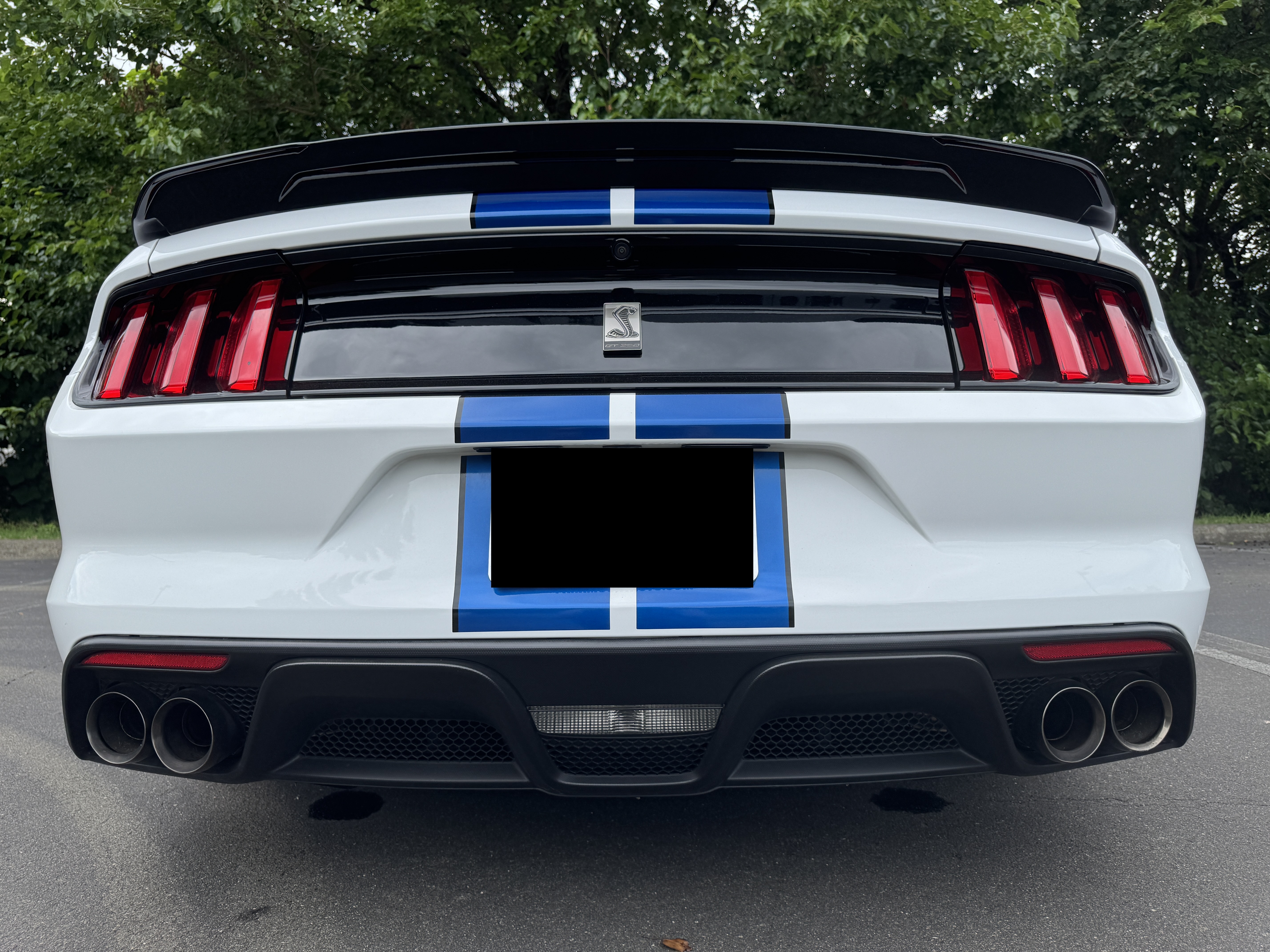 Used 2018 Ford Mustang Shelby GT350 w/ Electronics Package RWD image 12