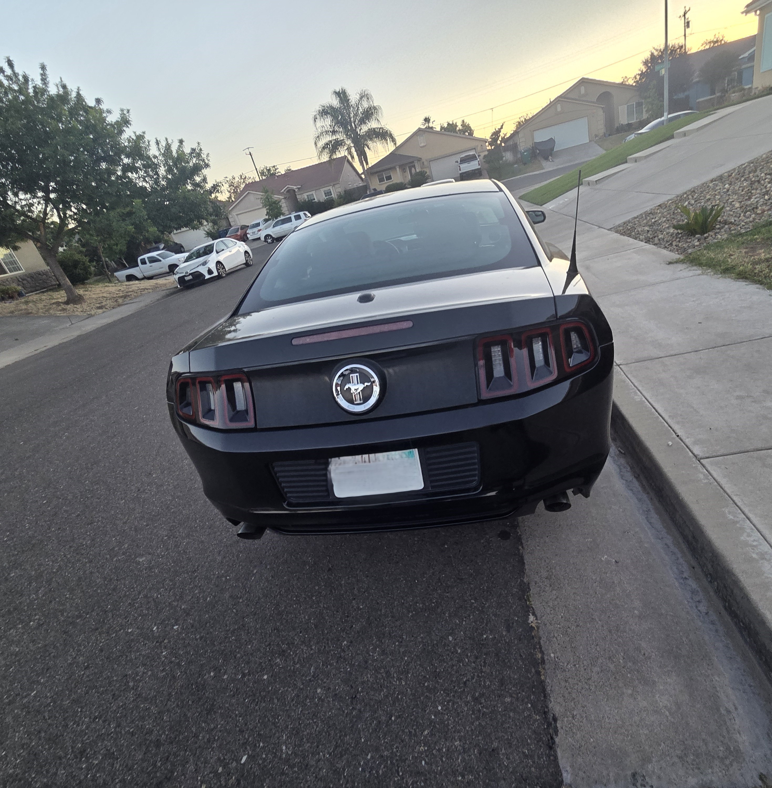 Used 2014 Ford Mustang Premium RWD image 11