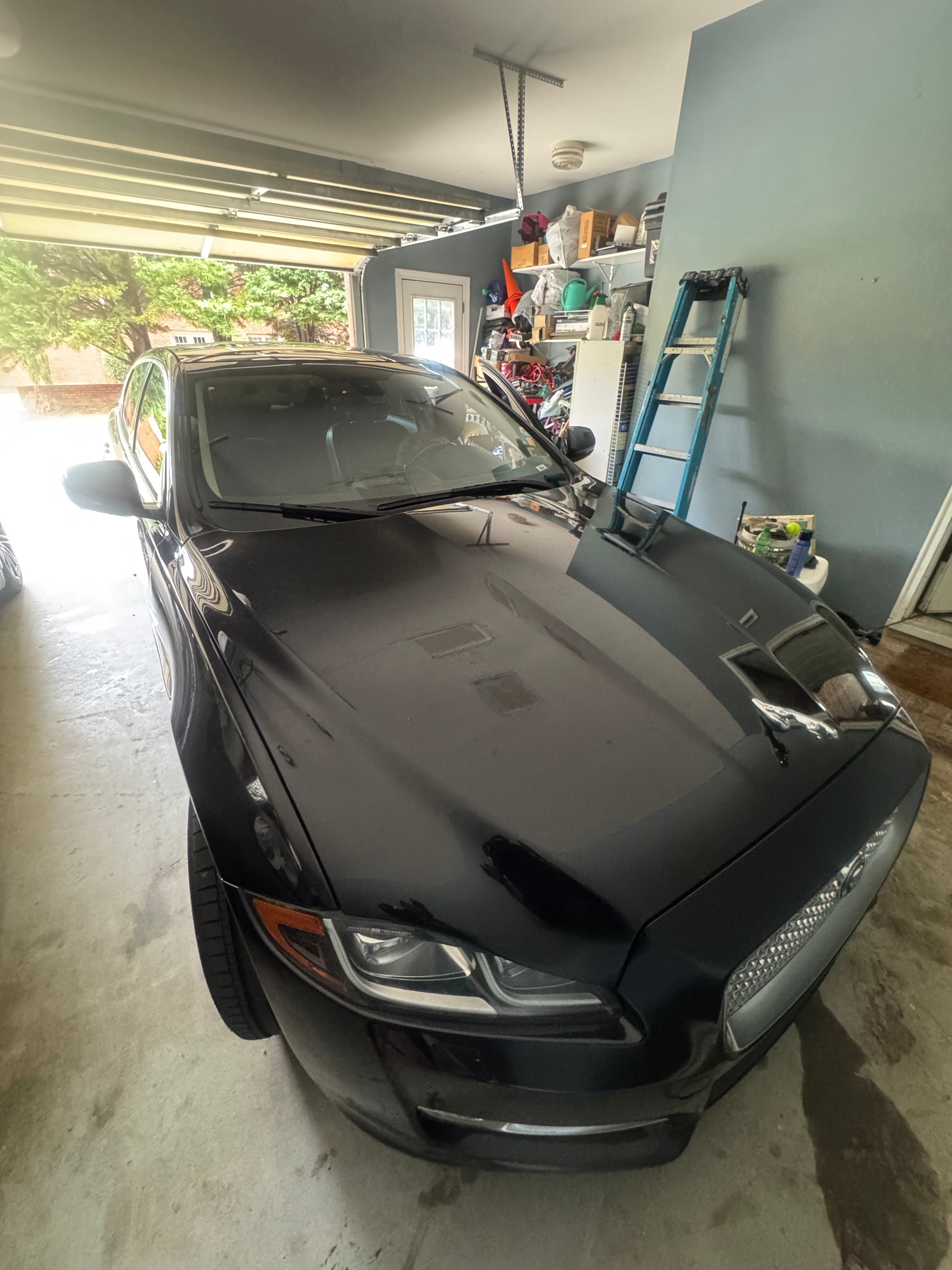 Used 2016 Jaguar XJ L Portfolio RWD image 8