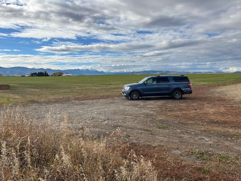 Used 2019 Ford Expedition Max Limited image 10