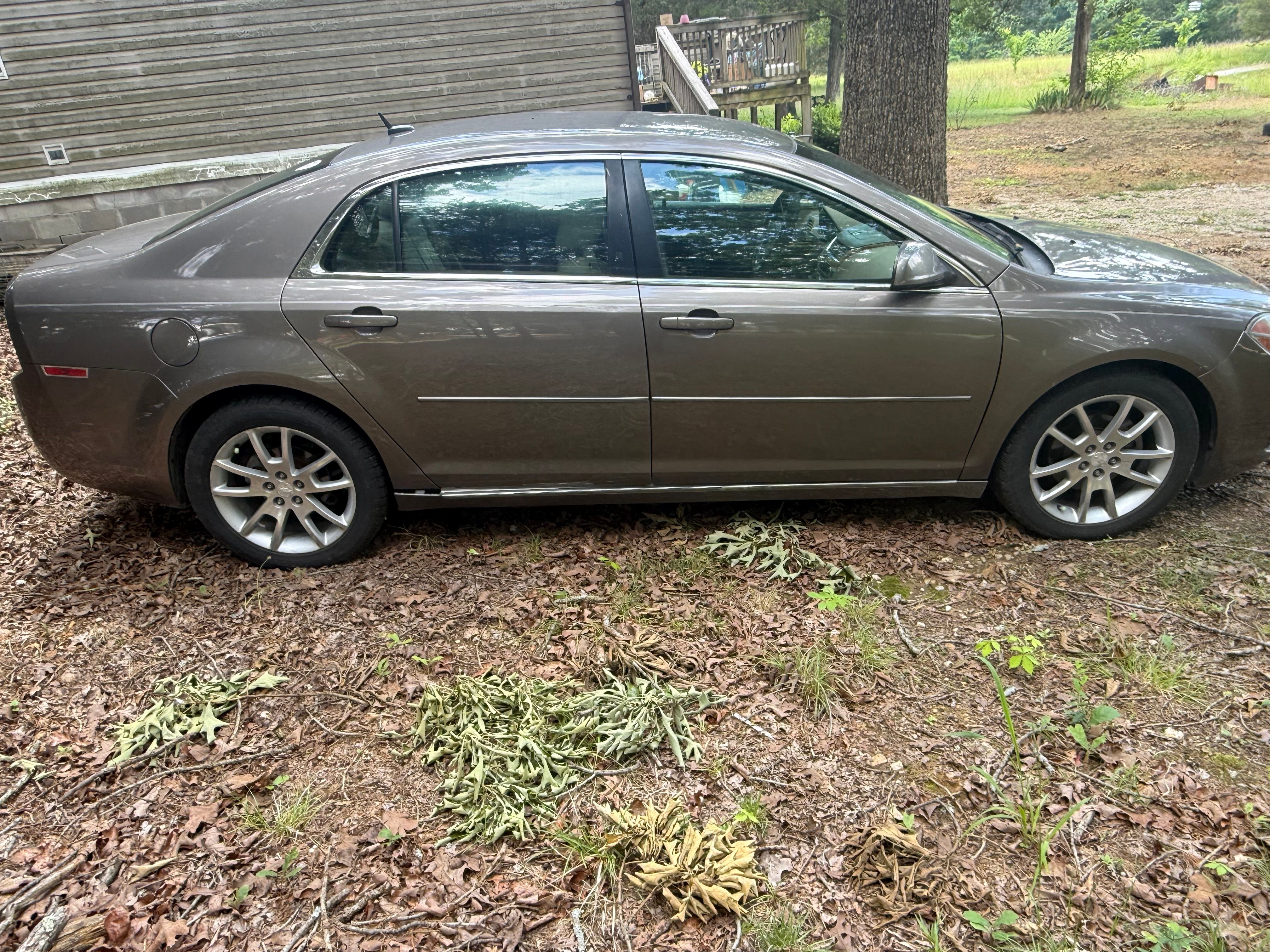 Used 2010 Chevrolet Malibu LT w/ HFV6 Engine Package FWD image 4