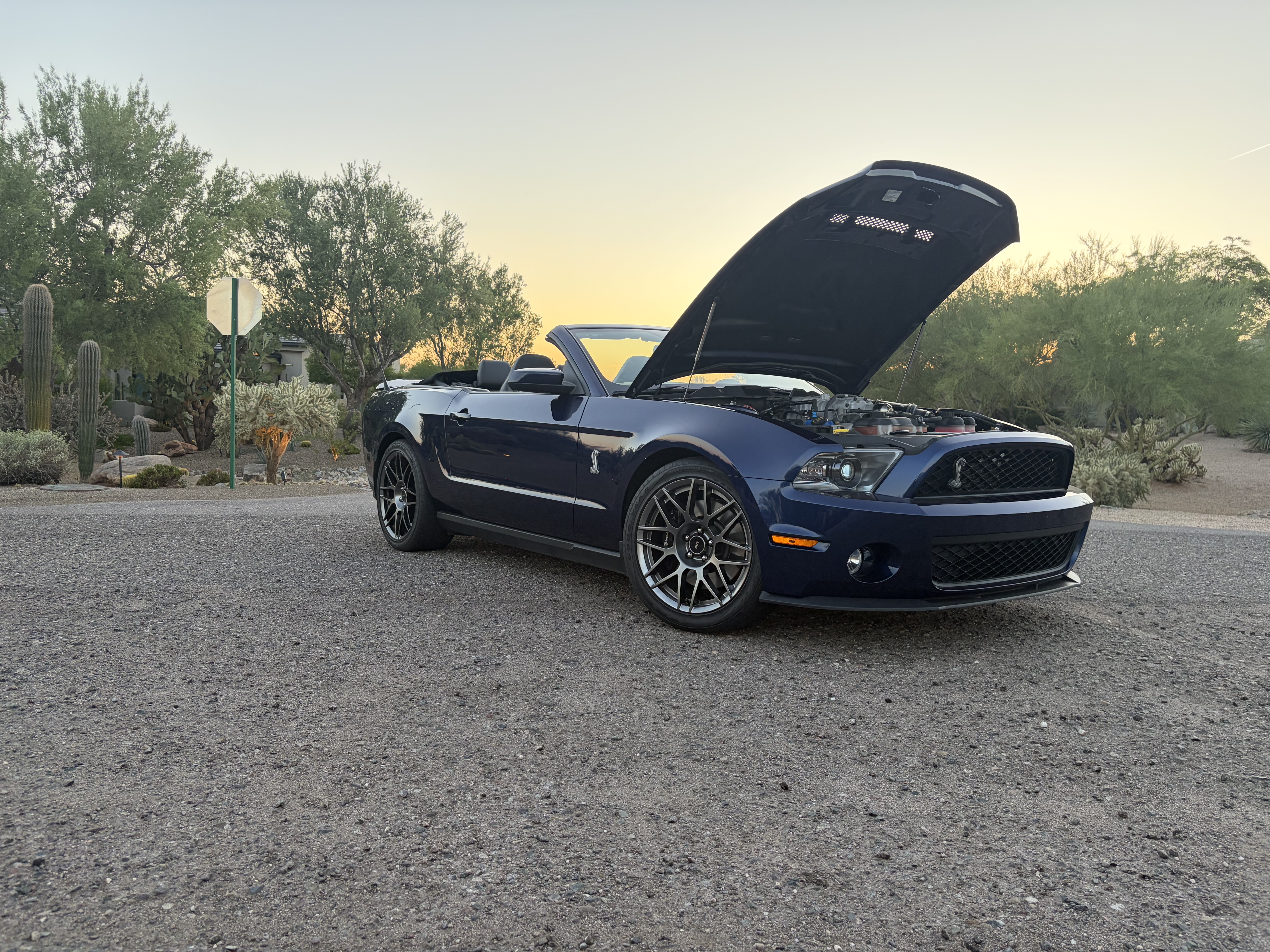 Used 2012 Ford Mustang Shelby GT500 w/ SVT Performance Pkg RWD image 15