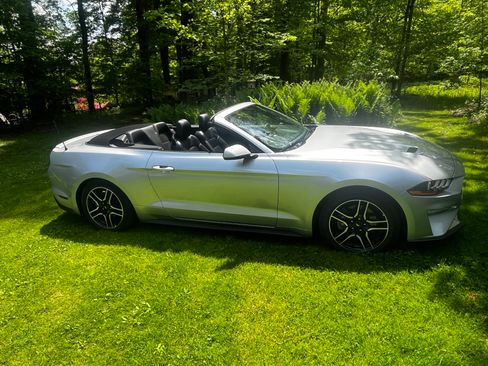 Used 2018 Ford Mustang Premium w/ Equipment Group 201A RWD image 2