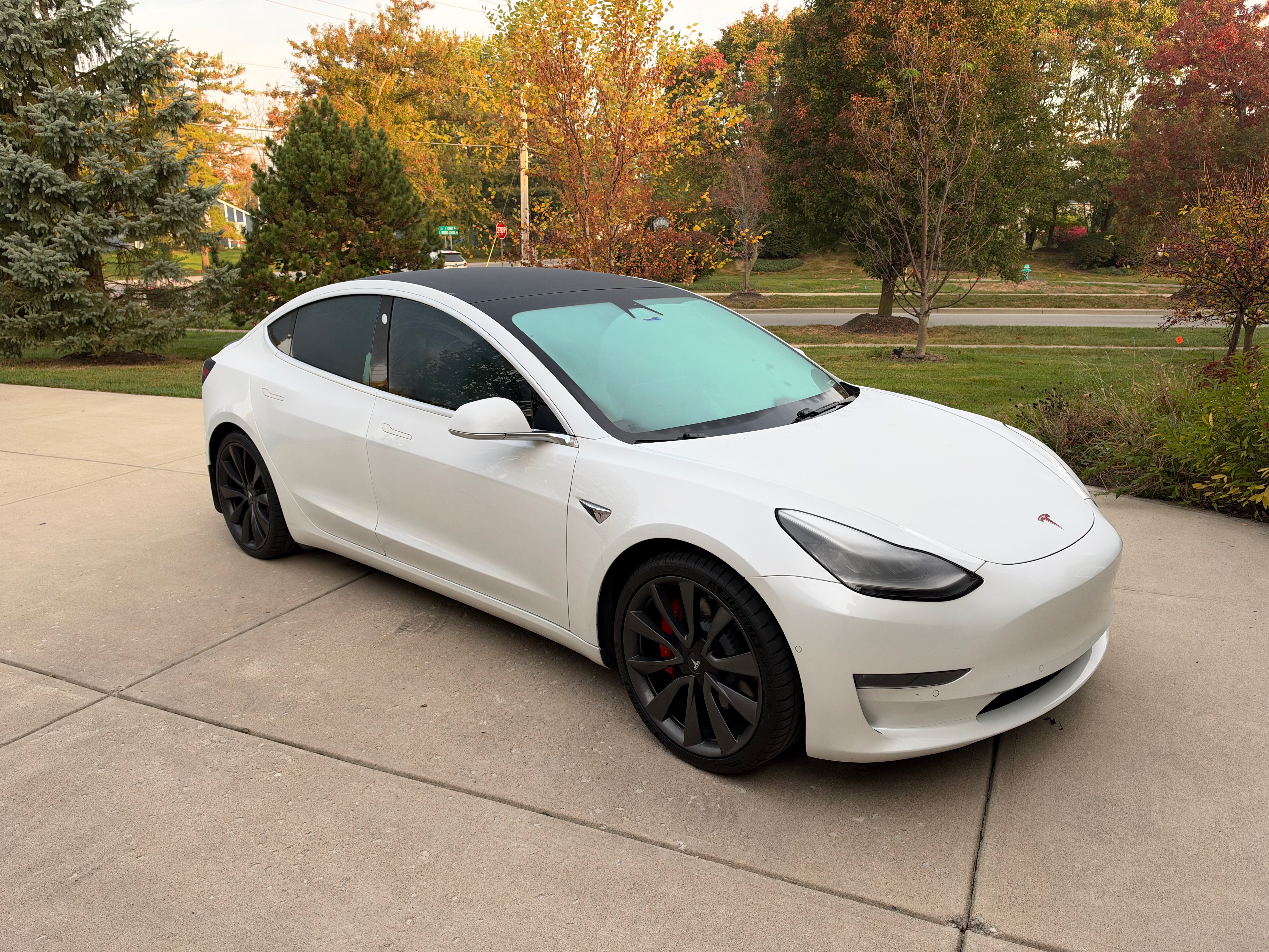 Used 2020 Tesla Model 3 Performance AWD/4WD image 1