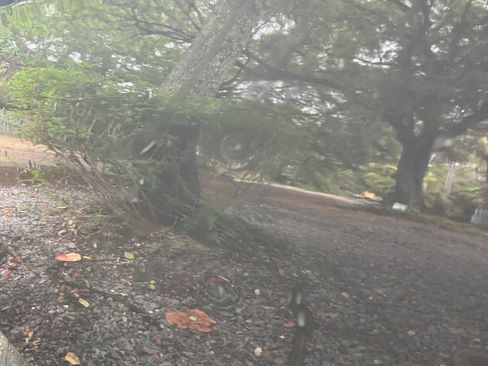 Used 2019 Volkswagen Jetta GLI image 9