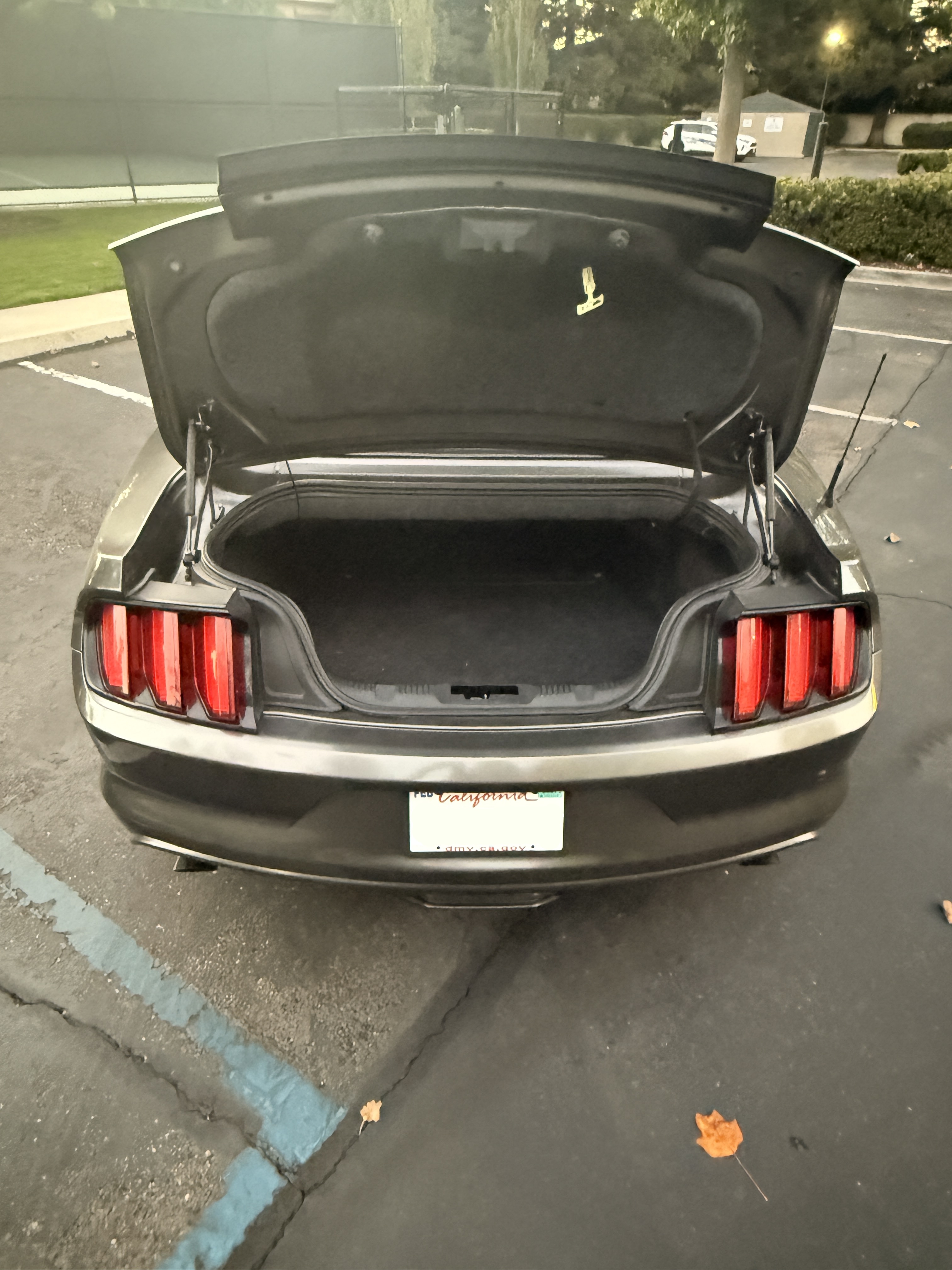 Used 2015 Ford Mustang Convertible w/ Equipment Group 051A RWD image 5