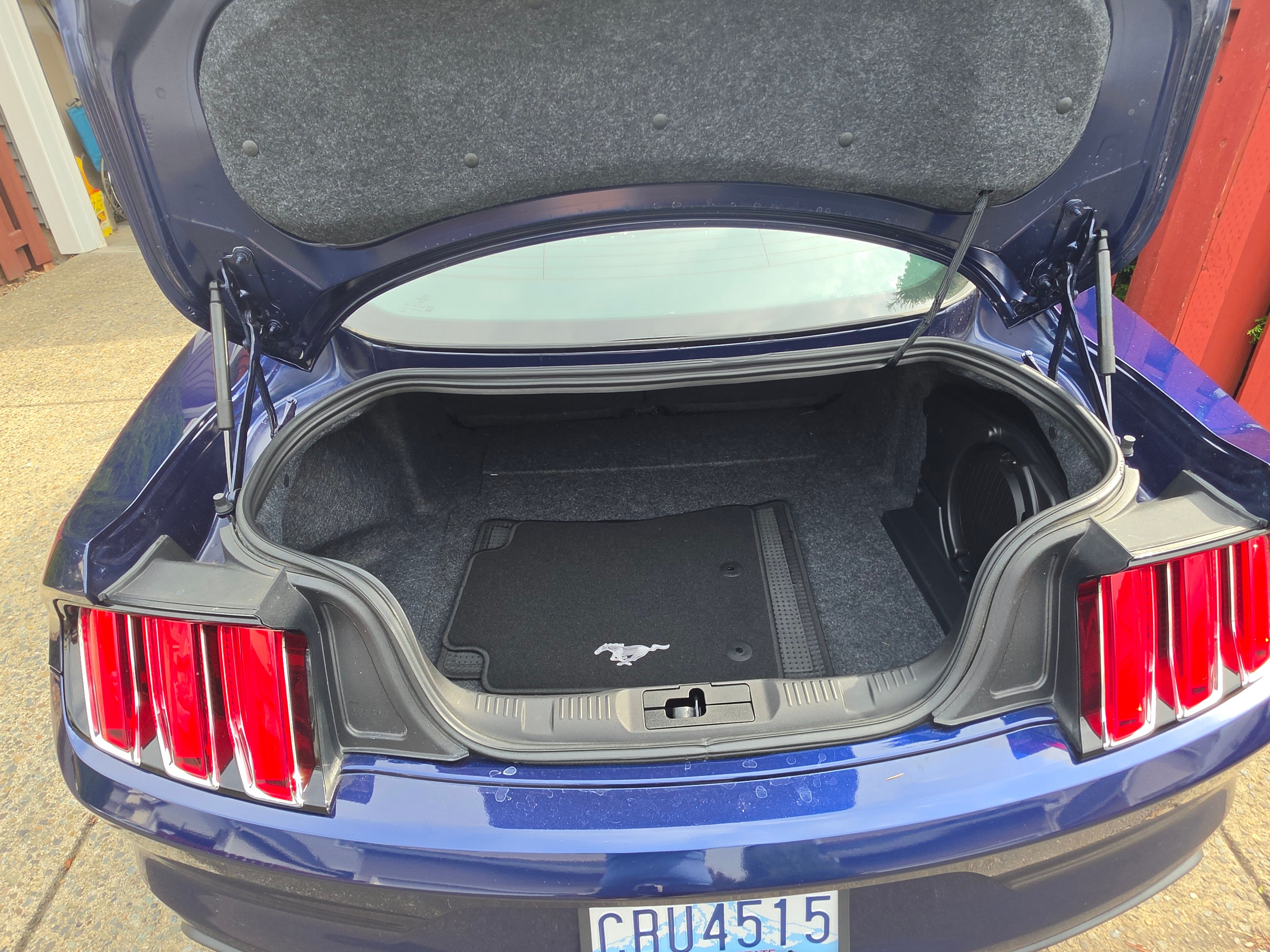 Used 2015 Ford Mustang 50 Years RWD image 19