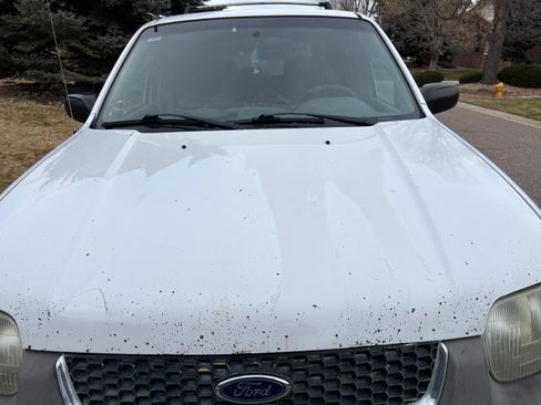 Used 2001 Ford Escape XLT image 12