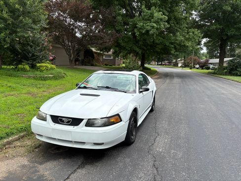 Used 2000 Ford Mustang Coupe RWD image 2