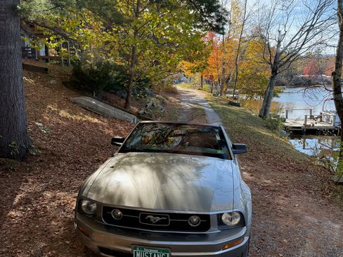 Used 2009 Ford Mustang Premium image 12