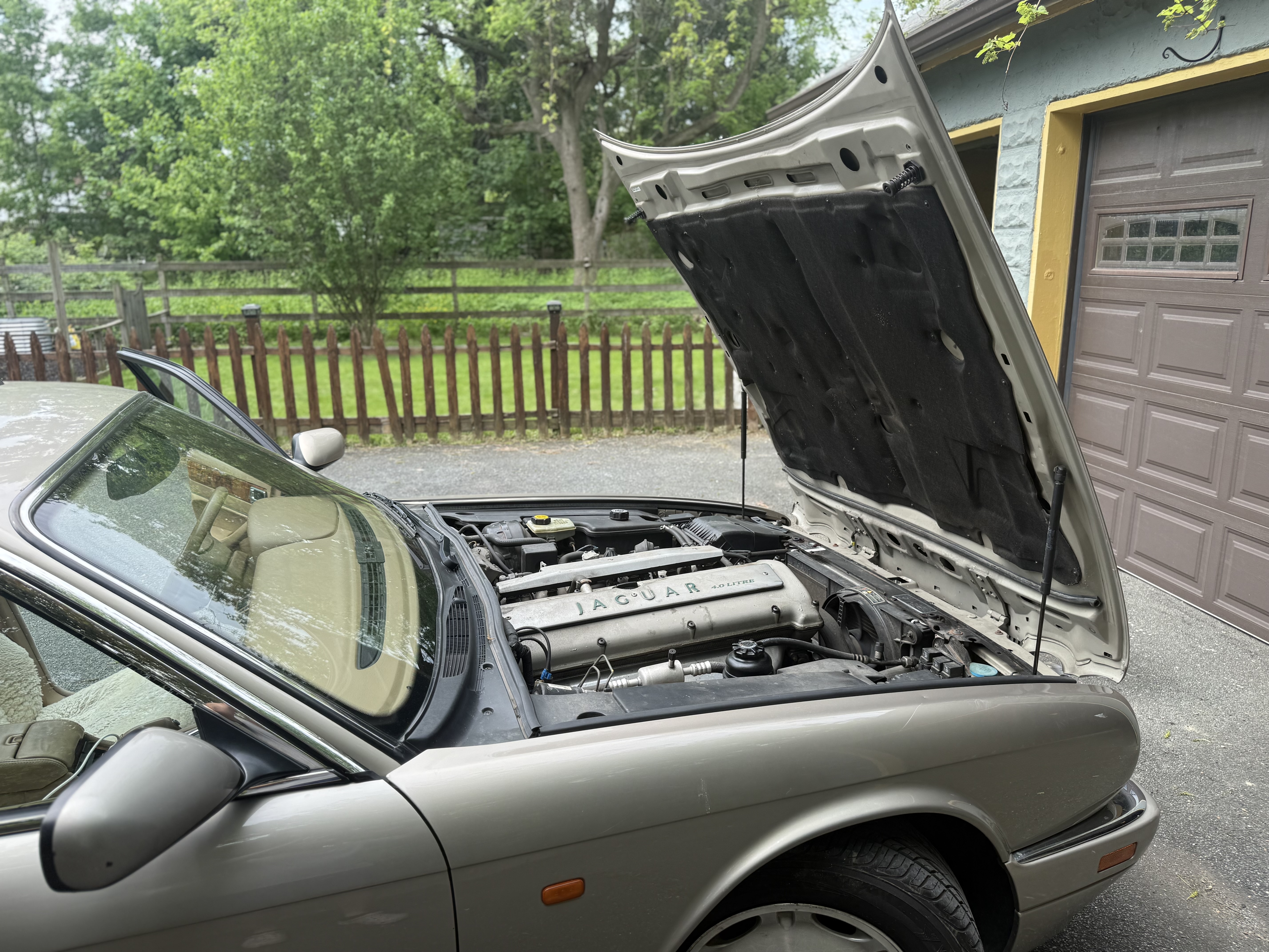 Used 1995 Jaguar XJ6 RWD image 4