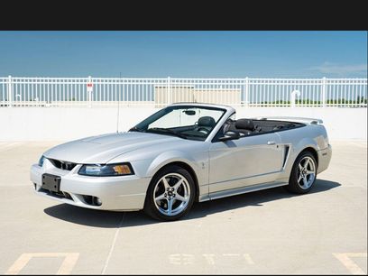 Used 2001 Ford Mustang Cobra