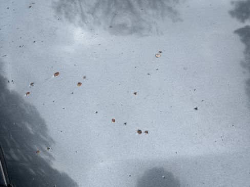 Used 2010 Toyota Corolla S image 14