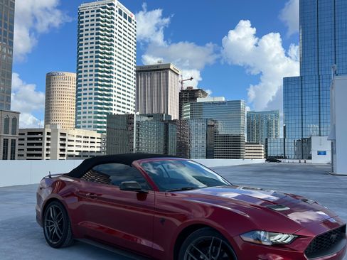 Used 2019 Ford Mustang Premium w/ Ford Safe & Smart Package RWD image 2