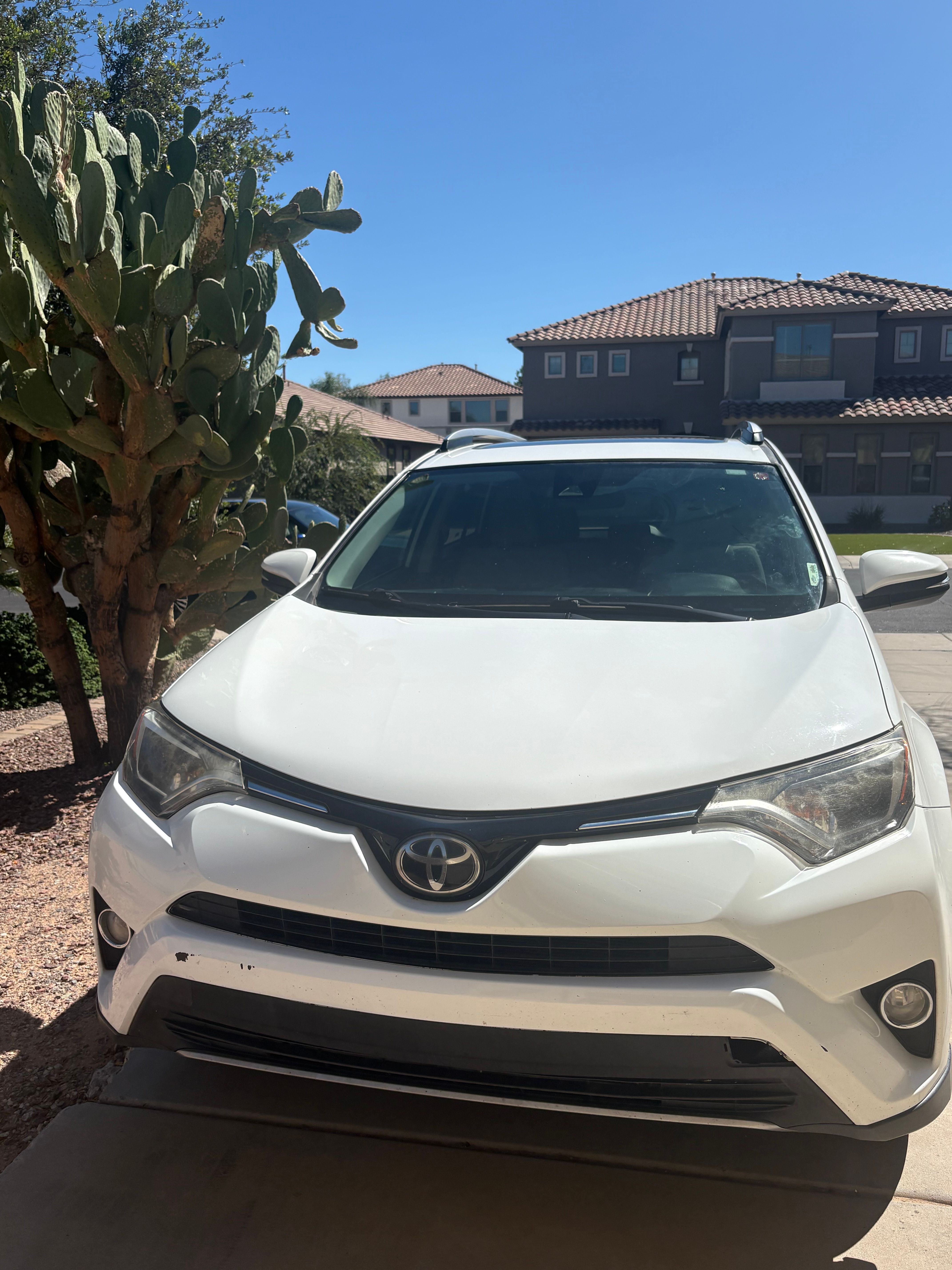 Used 2017 Toyota RAV4 XLE w/ Carpet Mat Package FWD image 2