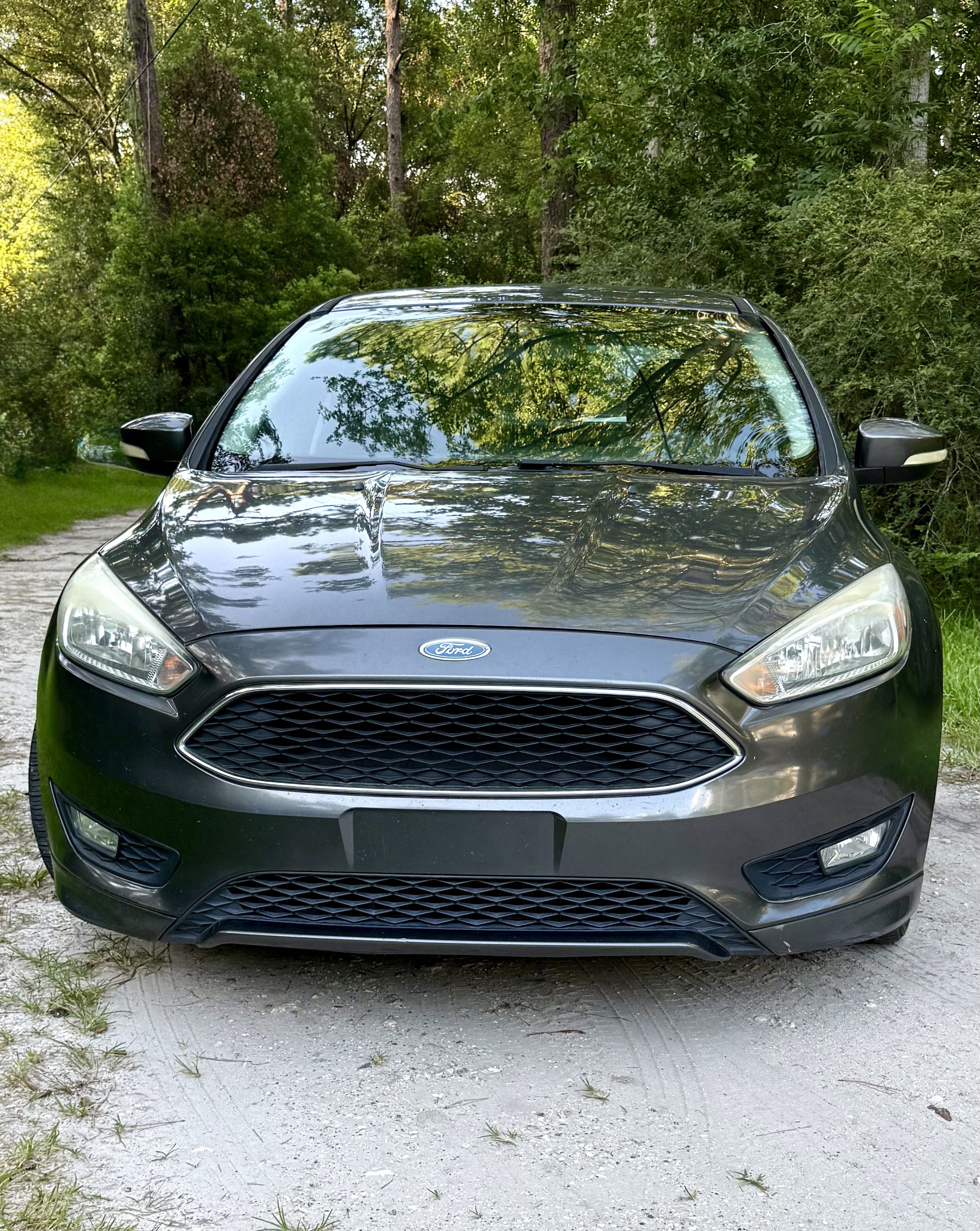 Used 2016 Ford Focus SE w/ SE Sport Package FWD image 14