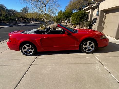Used 2004 Ford Mustang Cobra image 6