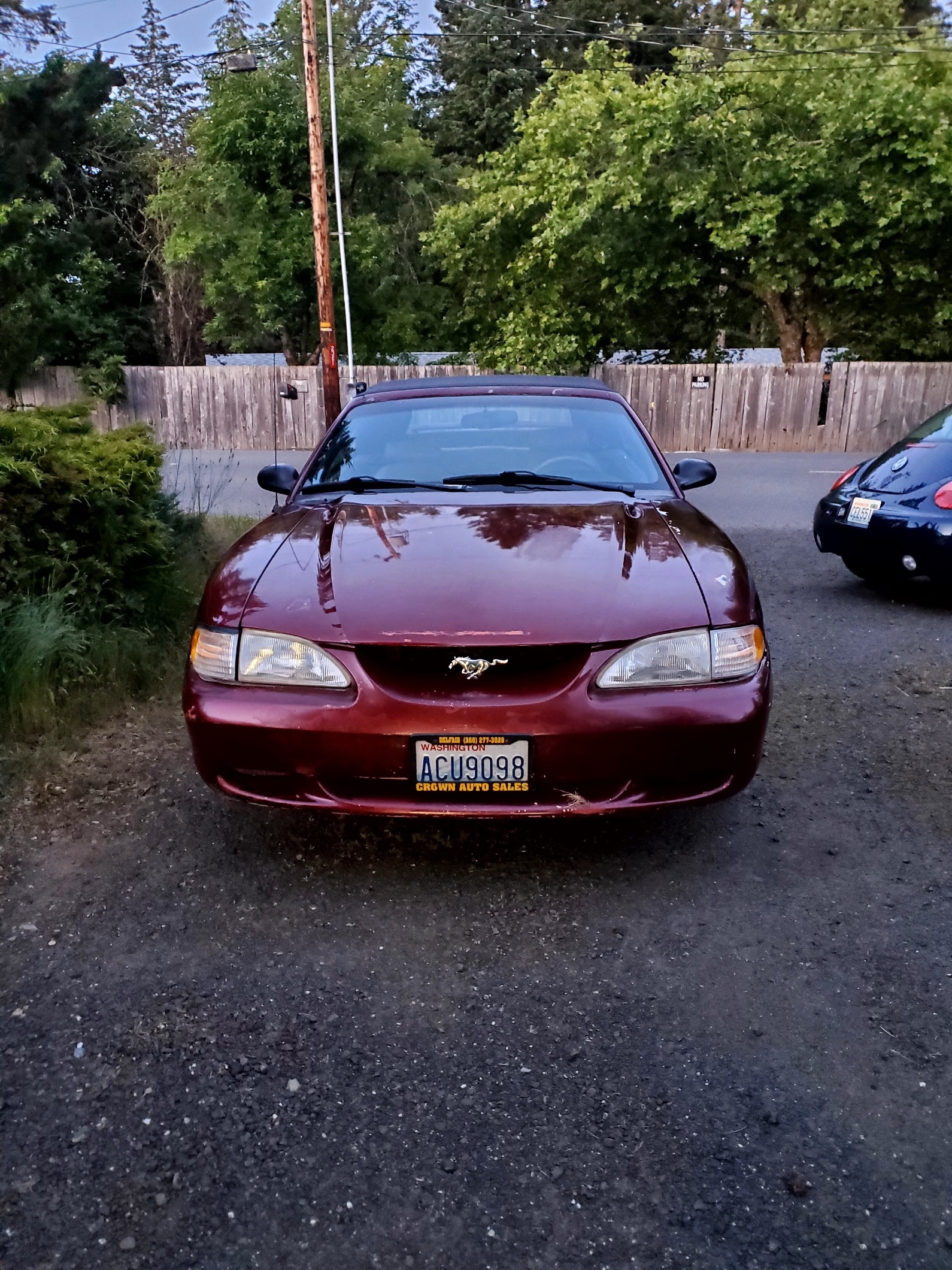 Used 1997 Ford Mustang GT RWD image 7