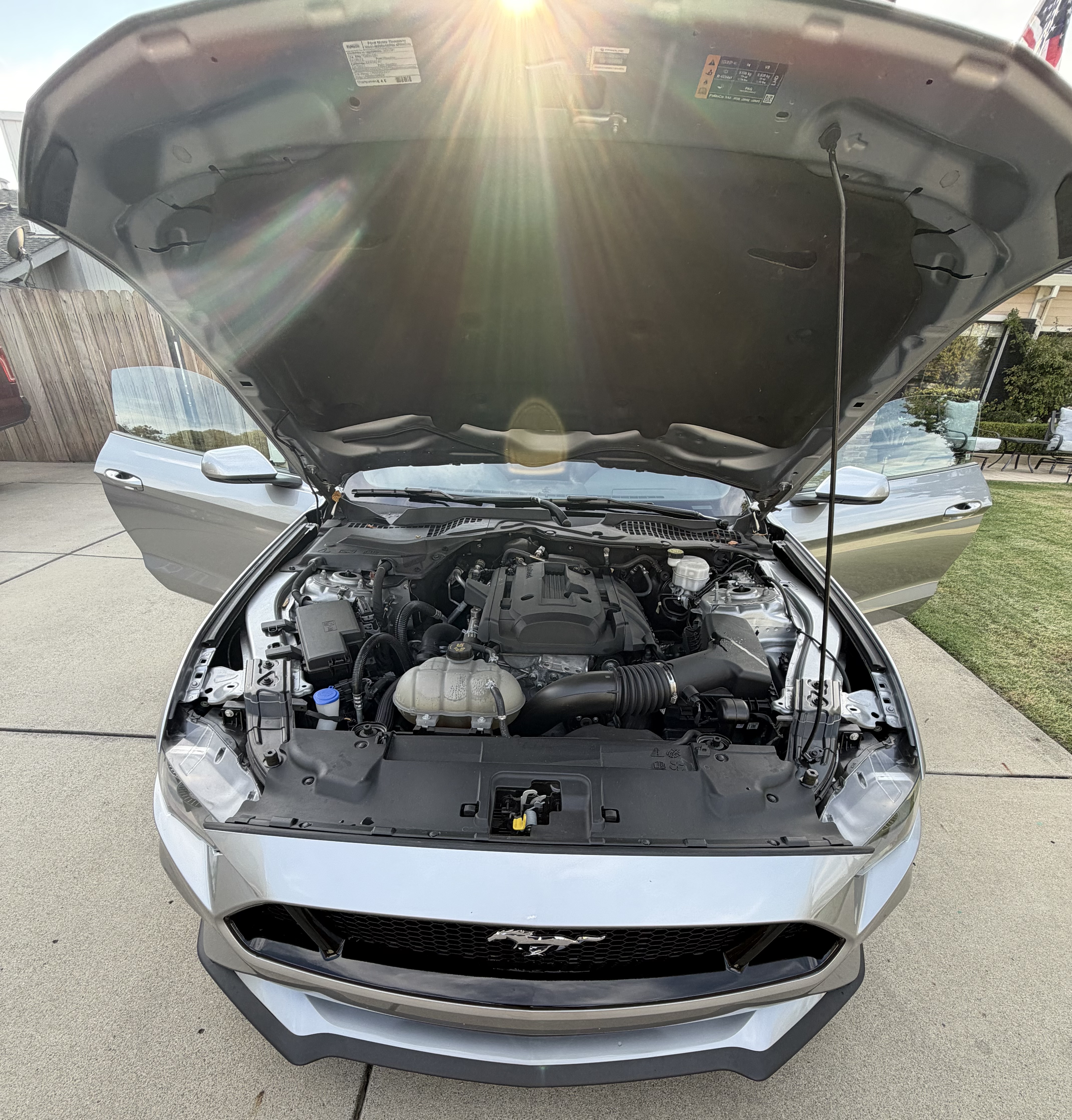 Used 2020 Ford Mustang Coupe RWD image 5