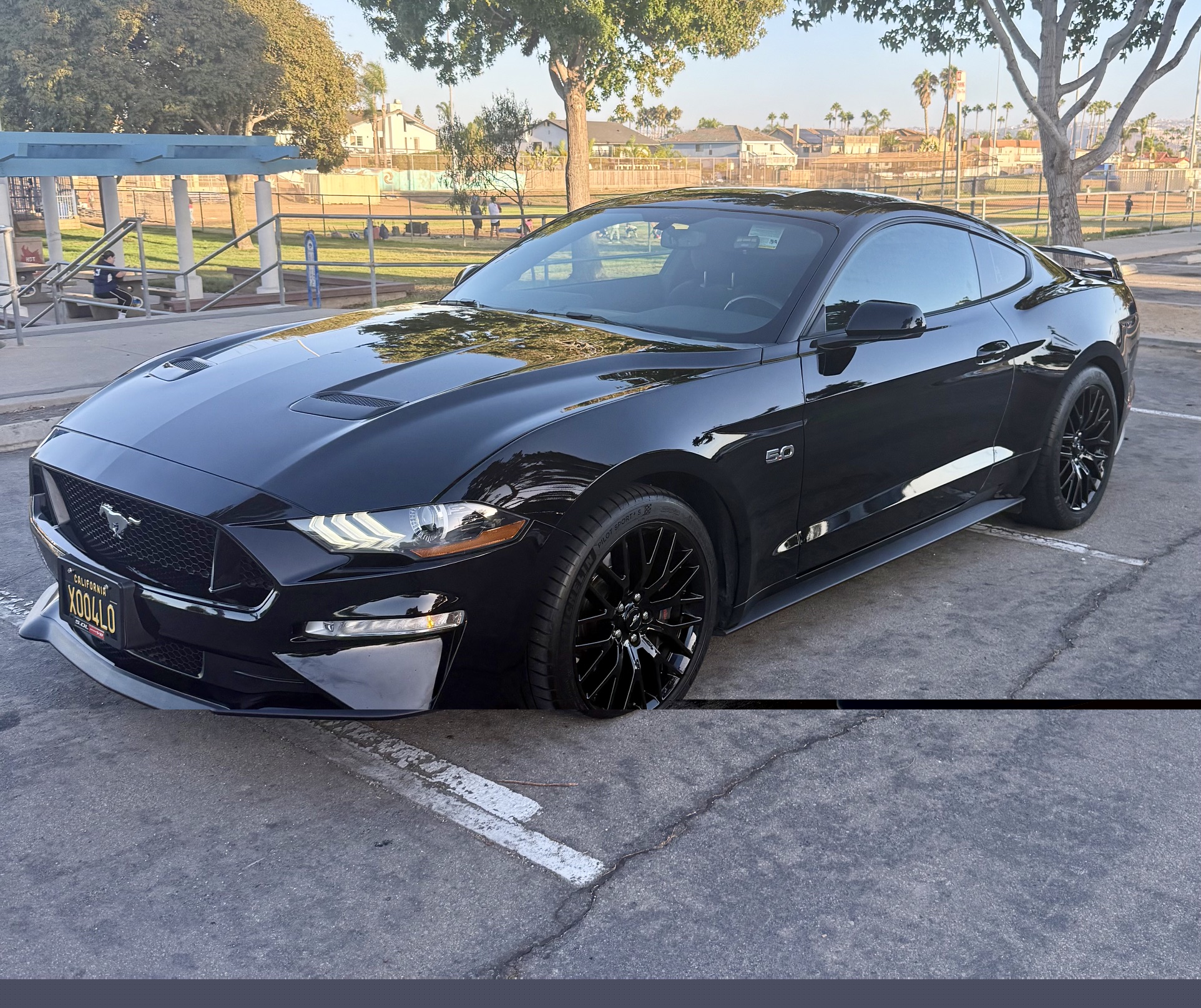 Used 2019 Ford Mustang GT w/ GT Performance Package RWD image 1