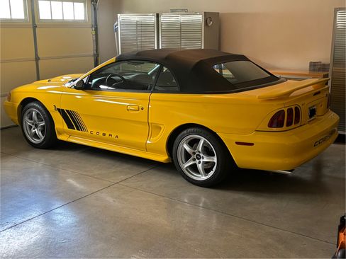Used 1998 Ford Mustang Cobra image 1
