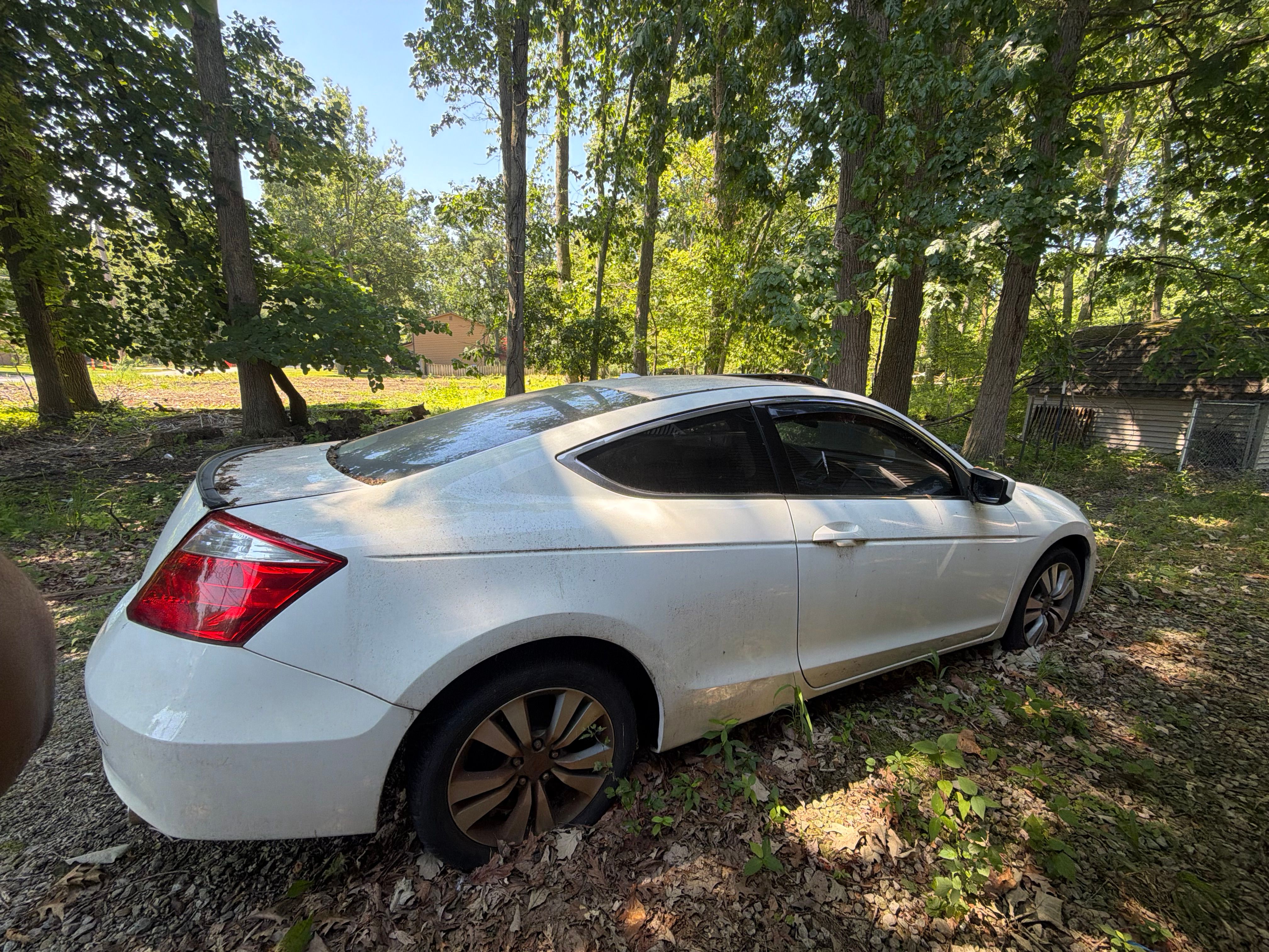 Used 2009 Honda Accord EX-L image 2