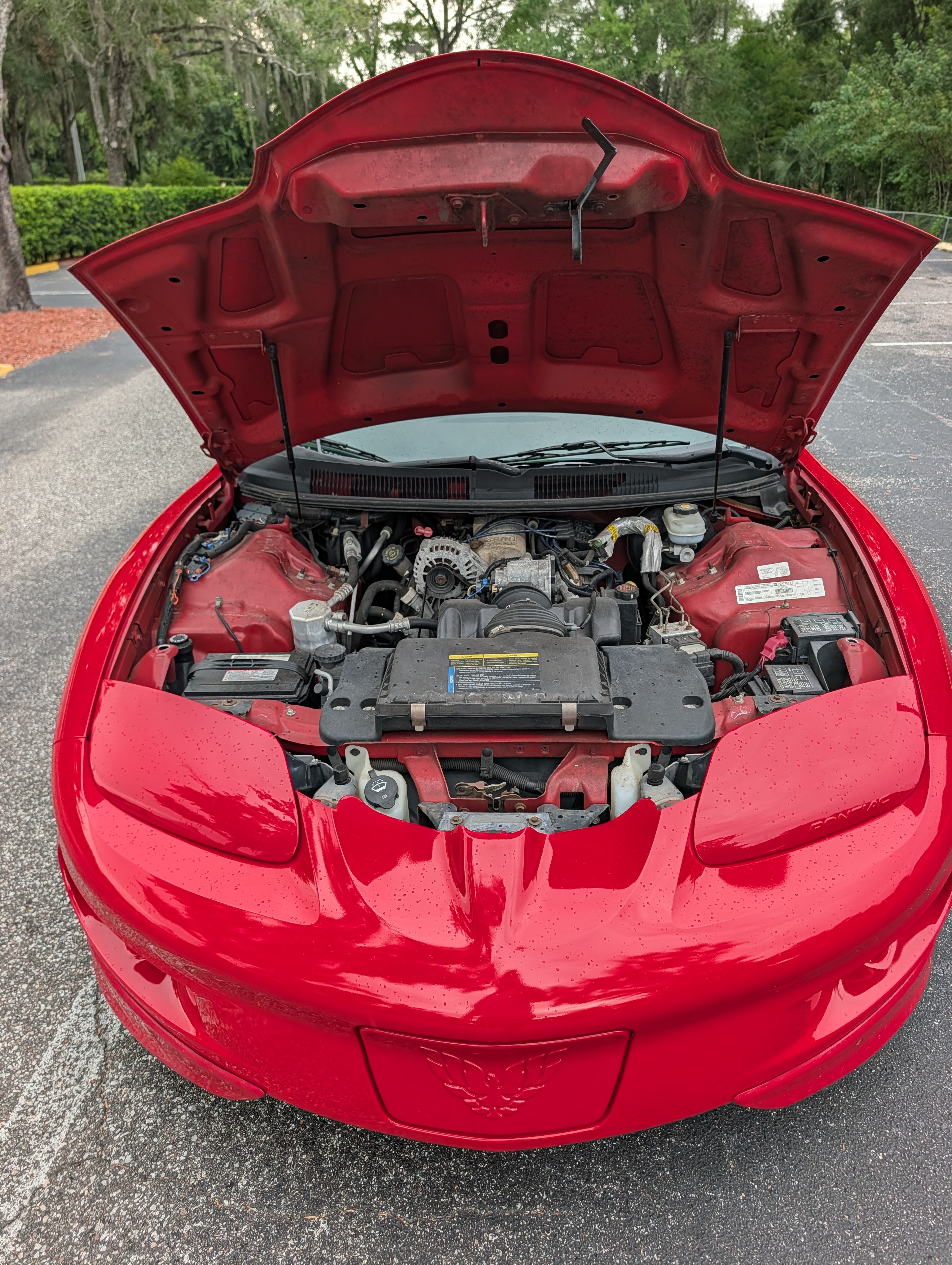 Used 2002 Pontiac Firebird Convertible w/ Sport Appearance Pkg RWD image 9
