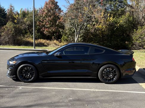 Used 2018 Ford Mustang Shelby GT350 w/ Convenience Package image 1
