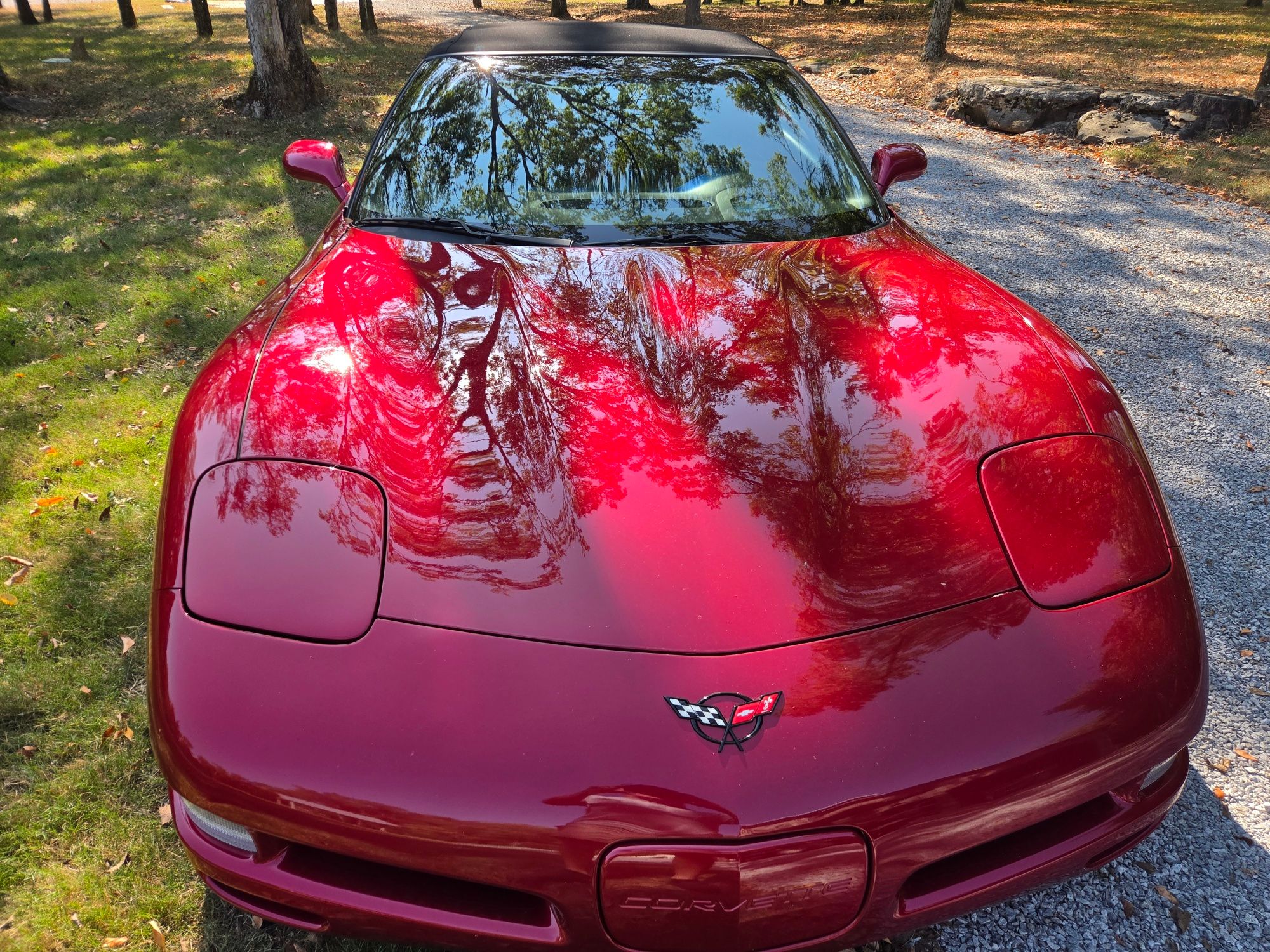 Used 2000 Chevrolet Corvette Convertible w/ Memory Pkg RWD image 4
