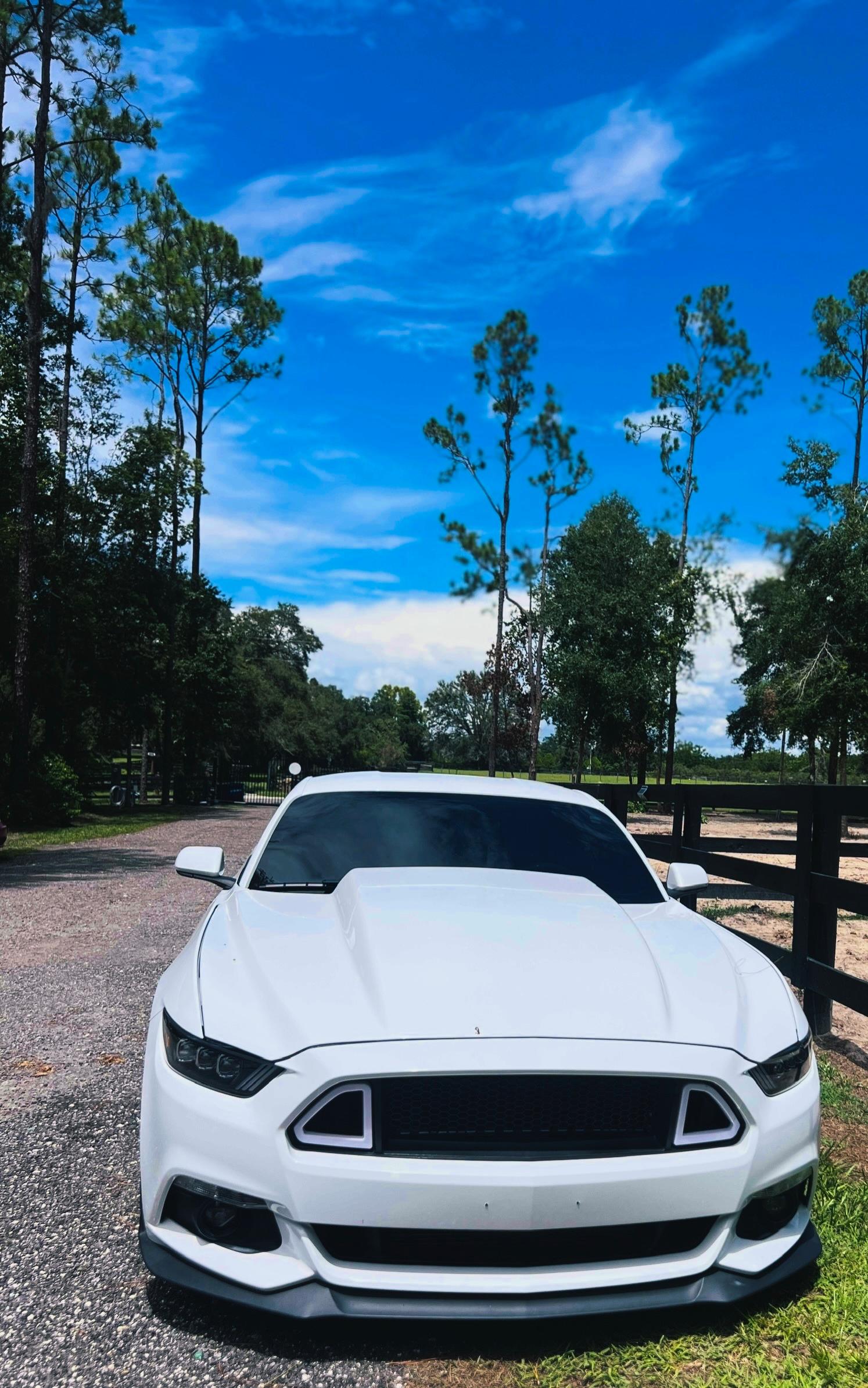 Used 2016 Ford Mustang GT w/ GT Performance Package RWD image 2